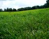 Weideland Blumenhagen  Gro�e Anzahl aktueller Bauernh�user, Bauernh�fe, Reiterh�fe, alte M�hlen - hier finden auch Sie IHR Bauernhaus, Bauernhof, Reiterhof oder alte M�hle!